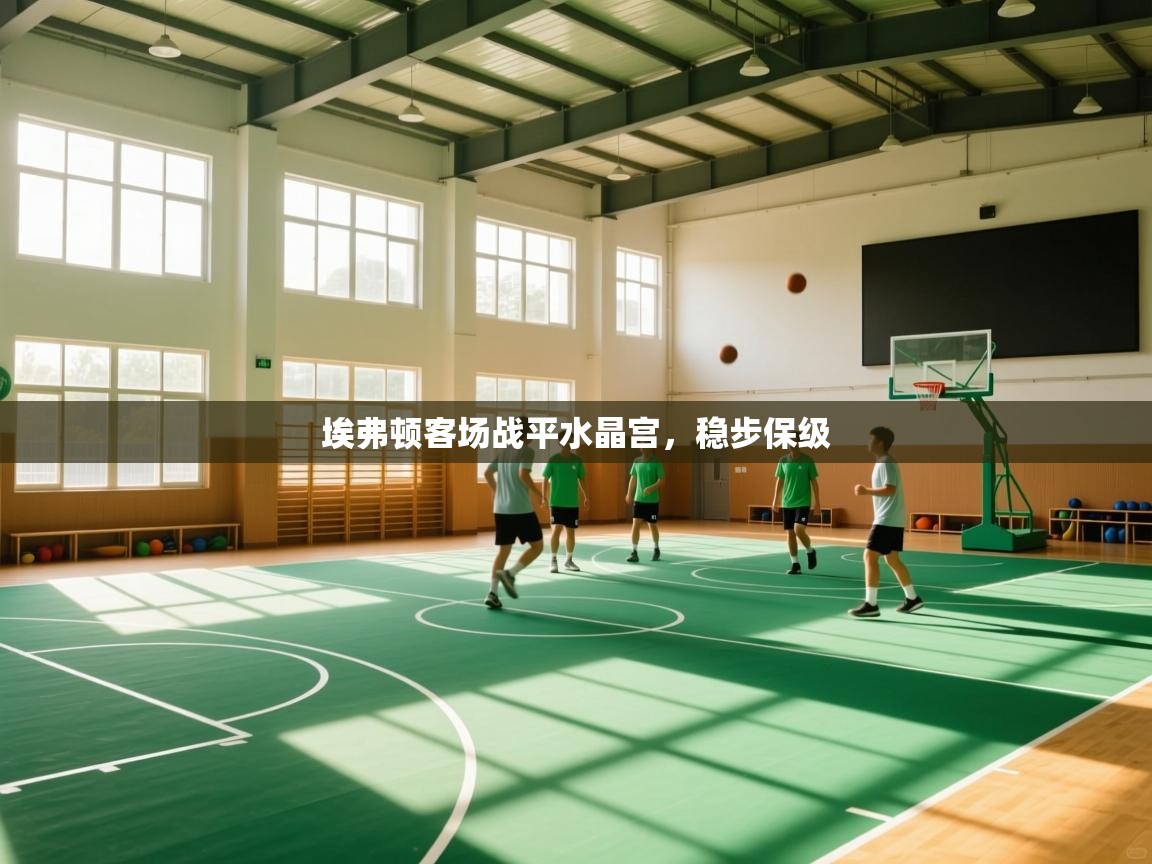 埃弗顿客场战平水晶宫,稳步保级 第1张