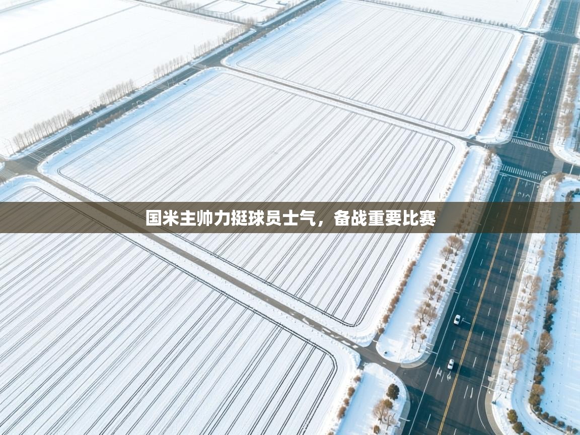 国米主帅力挺球员士气,备战重要比赛 第2张