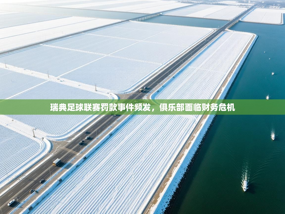 瑞典足球联赛罚款事件频发，俱乐部面临财务危机  第1张