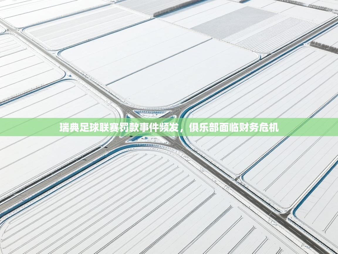 瑞典足球联赛罚款事件频发，俱乐部面临财务危机  第2张