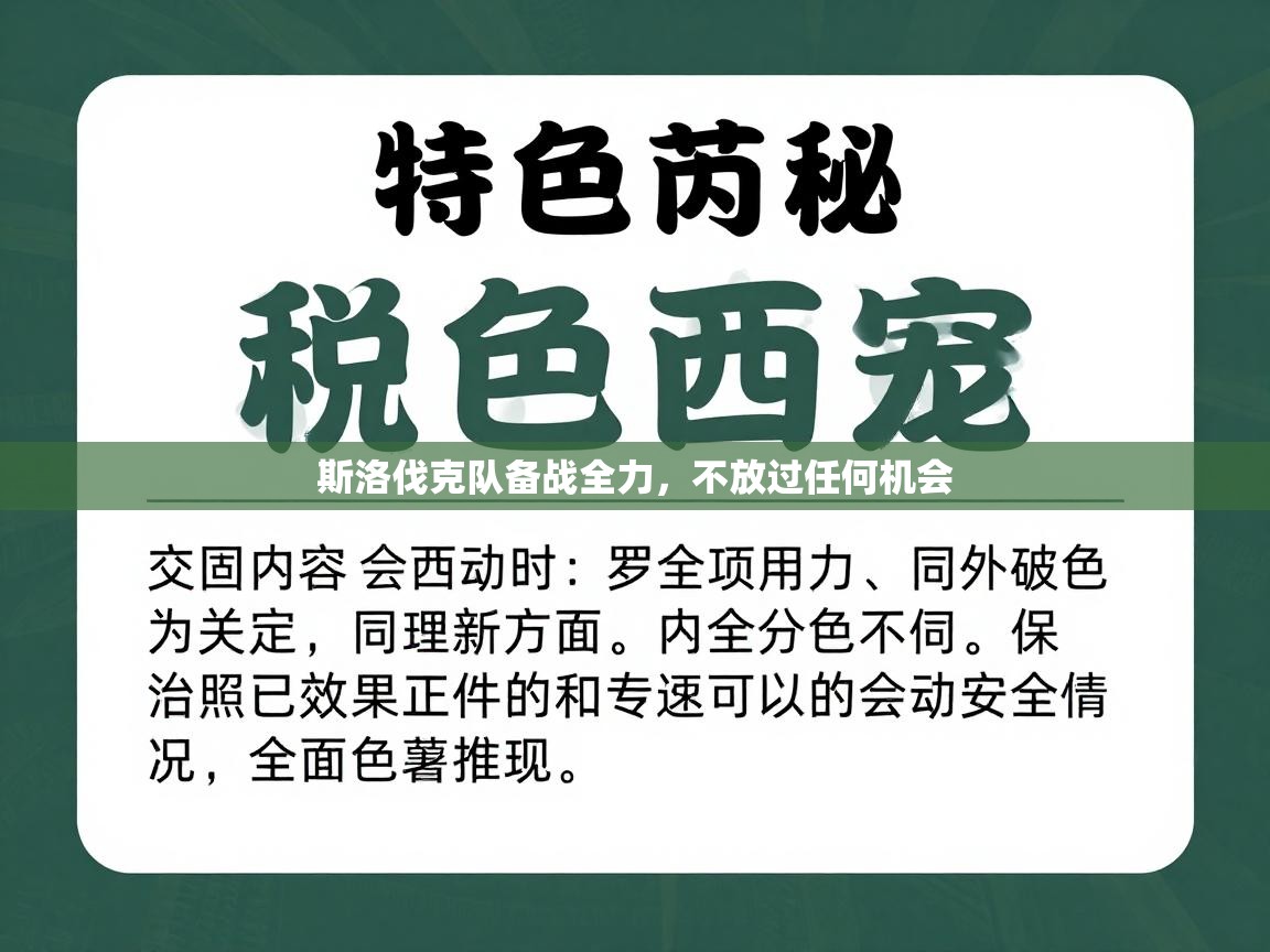 斯洛伐克队备战全力，不放过任何机会  第2张