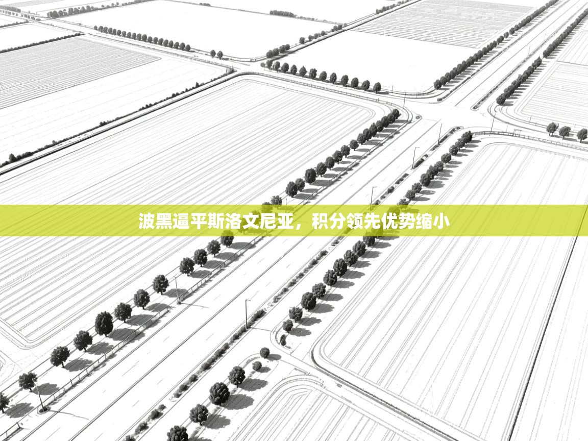 波黑逼平斯洛文尼亚,积分领先优势缩小 第2张