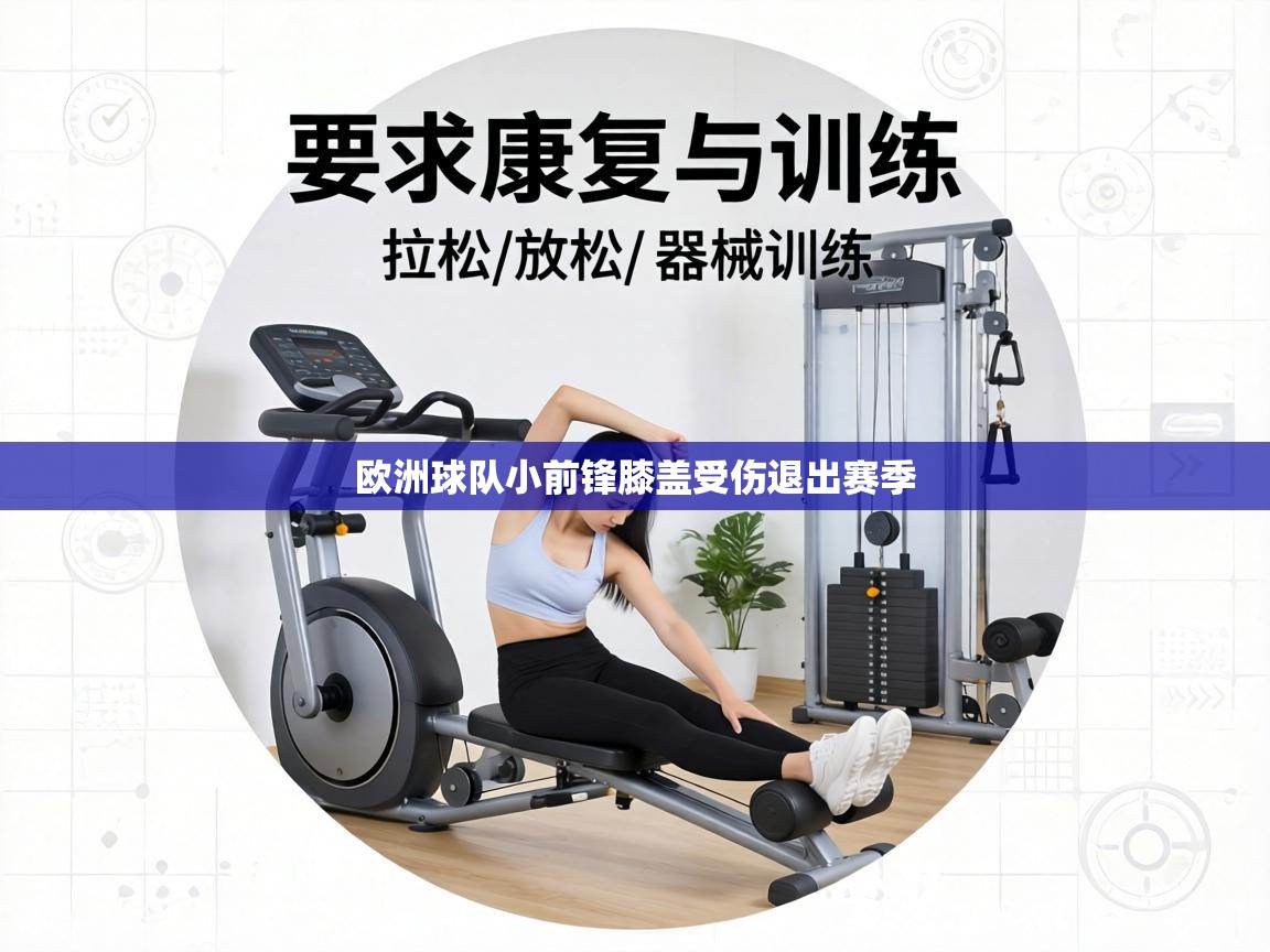 欧洲球队小前锋膝盖受伤退出赛季  第1张
