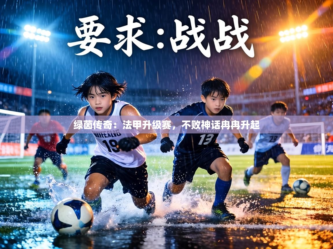 绿茵传奇：法甲升级赛，不败神话冉冉升起  第1张